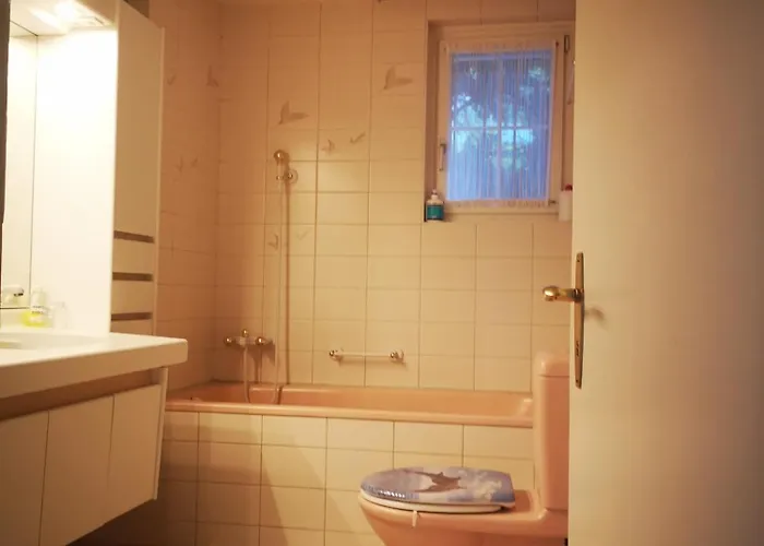 W22 Thunersee شقة ثون