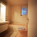 W22 Thunersee Appartement Thun